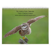 Gravende uil 2026 kalender (Hoes)