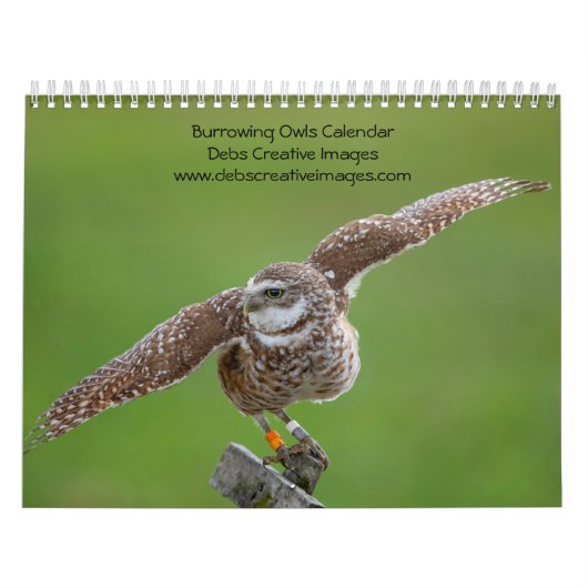 Gravende uil 2026 kalender (Hoes)