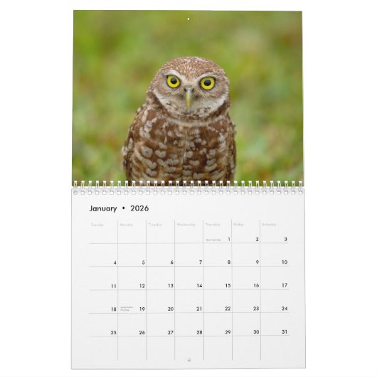Gravende uil 2026 kalender (Jan 2026)