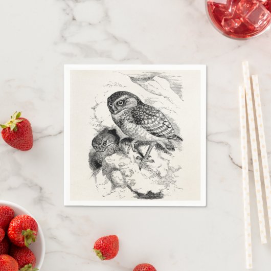 gravende uil Chick Bird Illustratie Servetten (Insitu)