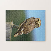 Gravende Uil Roofvogel Legpuzzel (Horizontaal)