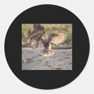 Gravende uil tilt Sticker af