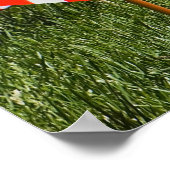 Graves gekleed met Memorial Day Flags Poster (Hoek)