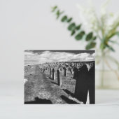 Gravestenen, Whitby Abbey, Whitby, North Yorkshire Briefkaart (Staand voorkant)