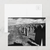 Gravestenen, Whitby Abbey, Whitby, North Yorkshire Briefkaart (Voorkant / Achterkant)