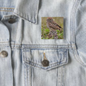 Graveuil, Athene cunicularia, Cape Coral, Vierkante Button 5,1 Cm (In situ)