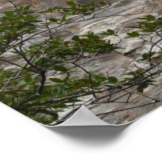 Graveyard Fields Waterfall Poster ... Gegrensd (Hoek)