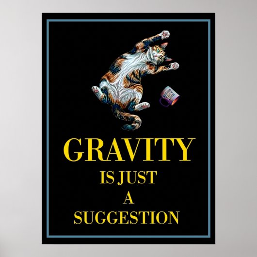 GRAVITY IS JUST A SUGGESTION POSTER (Voorkant)