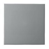 Gray African Parrot Square Kitchen en Bathroom Tegeltje (Voorkant)