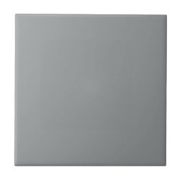 Gray African Parrot Square Kitchen en Bathroom Tegeltje