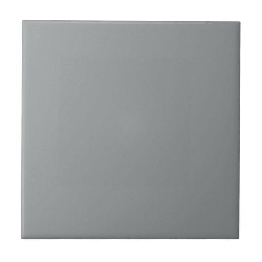 Gray African Parrot Square Kitchen en Bathroom Tegeltje (Voorkant)