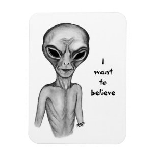 Gray Alien, ik wil geloven Magneet