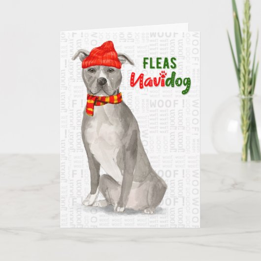 Gray American Staffordshire Pitbull Dog Funny Feestdagen Kaart (Voorkant)