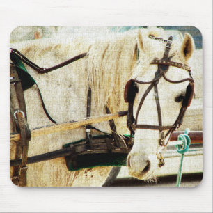 Gray Amish Buggy Horse Muismat