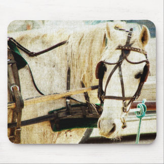 Gray Amish Buggy Horse Muismat