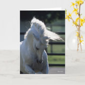 Gray Andalucian Bucking Headshot met achtergrondve Kaart (Gele Bloem)