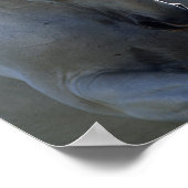 Gray Andalucian Bucking Headshot met achtergrondve Poster (Hoek)