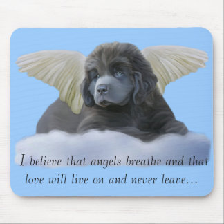 Gray Angel ~ Ik geloof Muismat