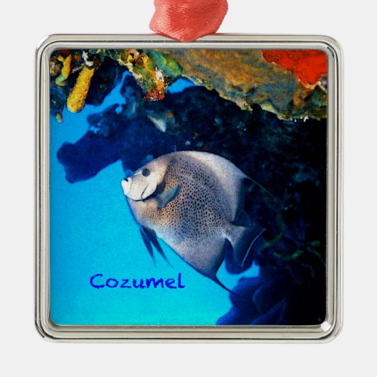 Gray Angelfish Metalen Ornament (Voorkant)
