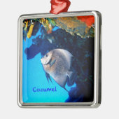 Gray Angelfish Metalen Ornament (Links)