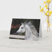 Gray Arab Stallion headshot Mane die stroomt Kaart (Gele Bloem)