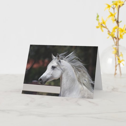 Gray Arab Stallion headshot Mane die stroomt Kaart (Gele Bloem)