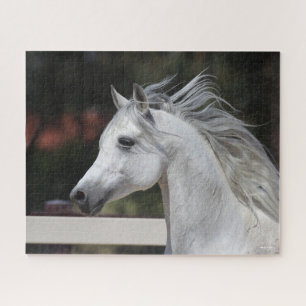 Gray Arab Stallion headshot Mane die stroomt Legpuzzel