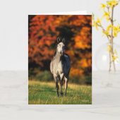 Gray Arab Standing Autumnal Background Kaart (Gele Bloem)