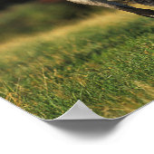 Gray Arab Standing Autumnal Background Poster (Hoek)