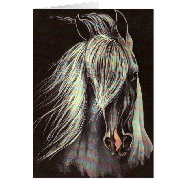 Gray Arabian (Voorkant)