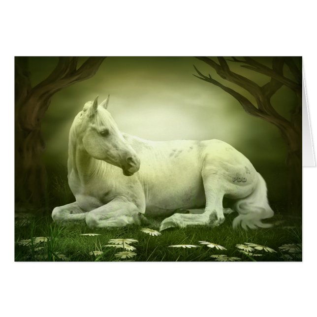 Gray Arabian Horse (Voorkant Horizontaal)
