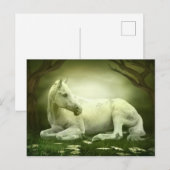 Gray Arabian Horse Briefkaart (Voorkant / Achterkant)