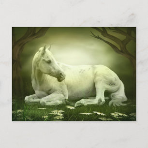 Gray Arabian Horse Briefkaart