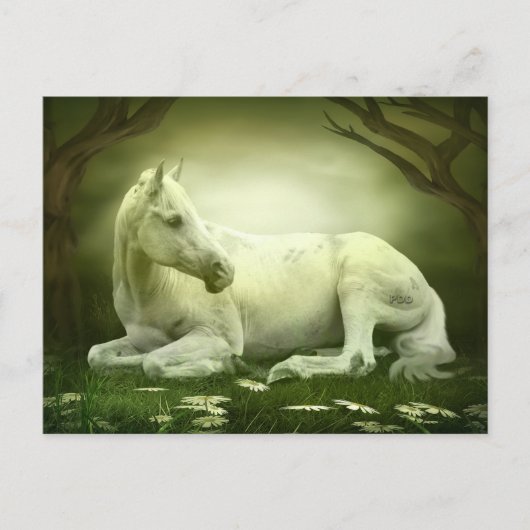 Gray Arabian Horse Briefkaart (Voorkant)