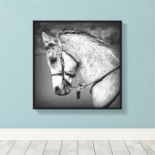 Gray Arabian Horse Canvas Afdruk (Insitu (Houten vloer))