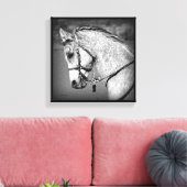 Gray Arabian Horse Canvas Afdruk (Insitu (Woonkamer))