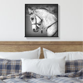 Gray Arabian Horse Canvas Afdruk (Insitu (Slaapkamer))