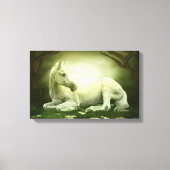 Gray Arabian Horse Canvas Afdruk (Voorkant)