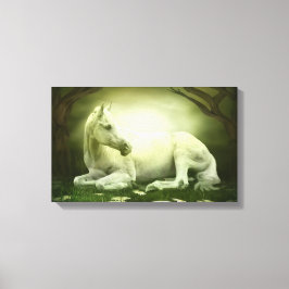 Gray Arabian Horse Canvas Afdruk