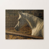 Gray Arabian Horse Legpuzzel (Horizontaal)