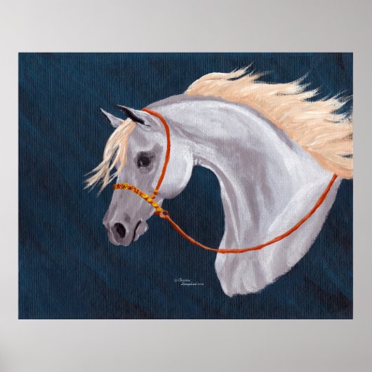 Gray Arabian Horse Portrait Poster (Voorkant)