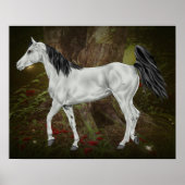 Gray Arabian Horse Poster (Voorkant)