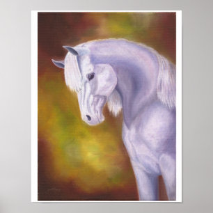 Gray Arabian mare print 11 x14 inch