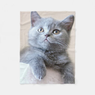 Gray British Shorthair Cat Fleece Deken