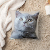 Gray British Shorthair Cat Kussen (Deken)