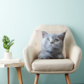 Gray British Shorthair Cat Kussen (Stoel)