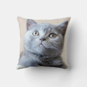 Gray British Shorthair Cat Kussen (Achterkant)