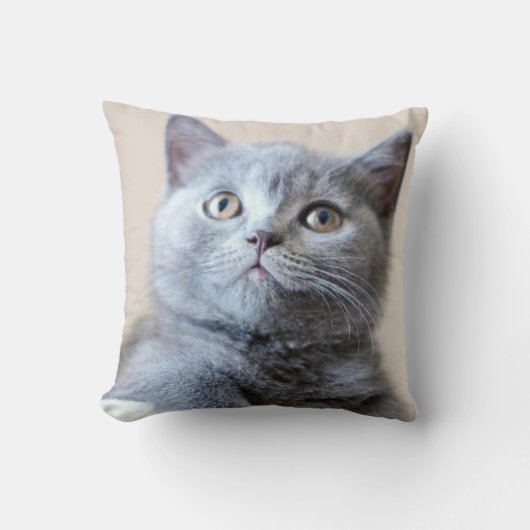 Gray British Shorthair Cat Kussen (Voorkant)