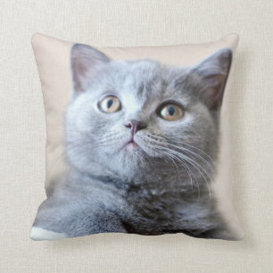 Gray British Shorthair Cat Kussen