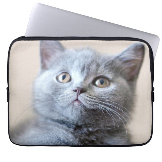 Gray British Shorthair Cat Laptop Sleeve (Voorkant)